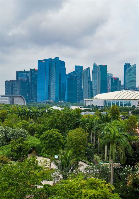 Green Trees Near High Rise Buildings During Daytime Photo Free