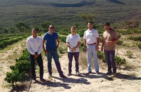 Projeto Campo futuro levanta custos de produção de café arábica na Bahia