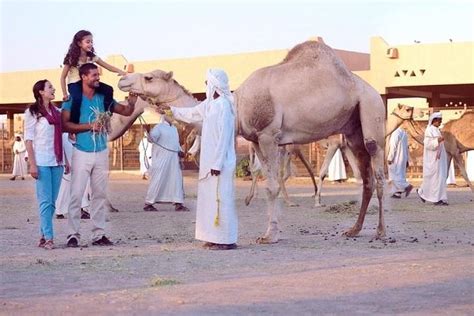 Al Ain City Tour From Dubai Outdoor Activities 2023