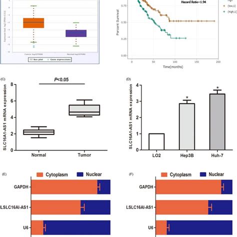 Mir‐411 Regulates Malignant Phenotypes Of Hepatocellular Carcinoma