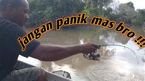 Super Ganas Angler Ini Kewalahan Mancing Udang Galah Saat Arus Pasang