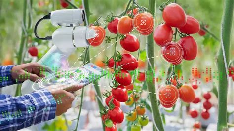 How Digital Tools Are Making Agriculture Sustainable Green