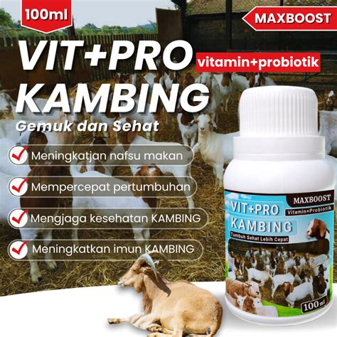 Jual VIT PRO Penggemuk Kambing 100 Vitamin Hewan Ternak Aman VITAMIN