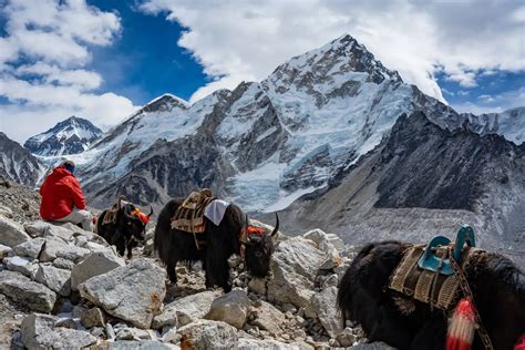 How Much Does It Cost To Hire A Trekking Guide In Nepal Core Treks