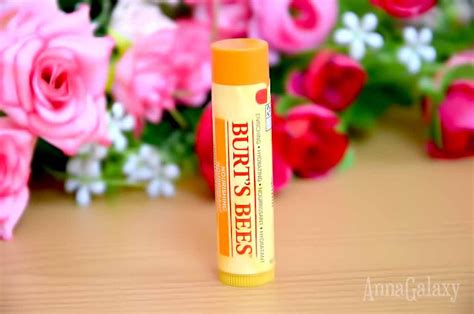 Burt's Bees Nourishing Lip Balm with Mango Butter | питательный бальзам ...