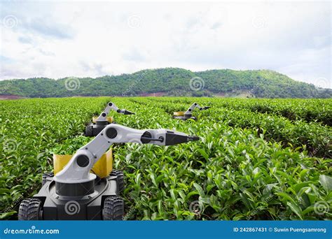 Autonomous Robot Harvesting Tea Leaf In Green Tea Field Future 5g