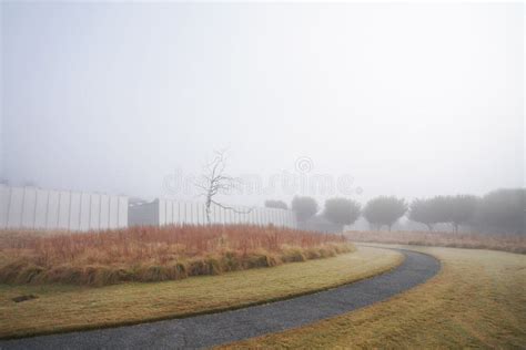 Fall Colors and Fog at the NC Museum of Art in Raleigh Stock Image - Image of foggy, ncma: 260005593