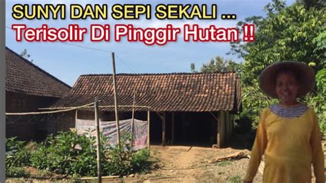 MASIH BANYAK RUMAH TERPENCIL DI PINGGIR HUTAN DI DEKAT PEDESAAN MADIUN