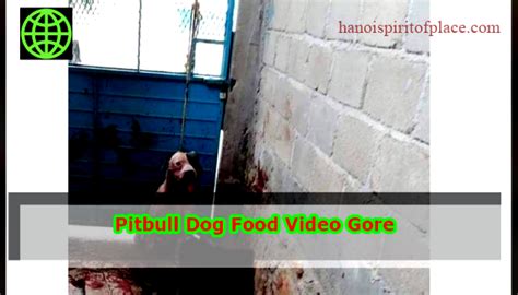 Unveiling the Shocking Truth - Pitbull Dog Food Video Gore Exposed