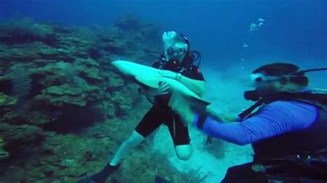 Belize Diving Ambergris Caye San Pedro Wall 9 Youtube