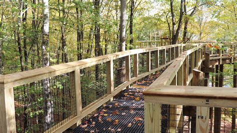 Forest Canopy Walk Vermont Institute Of Natural Science