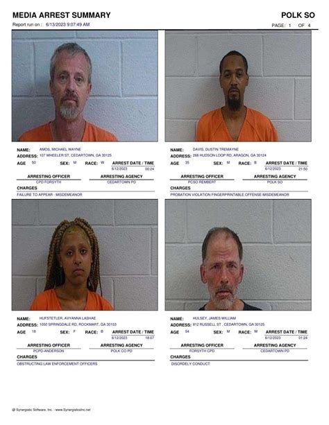 polk co ga inmate search 7