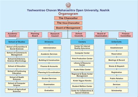 Organogram Of University