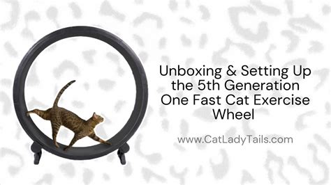 Unboxing And Setting Up The 5th Generation One Fast Cat Exercise Wheel