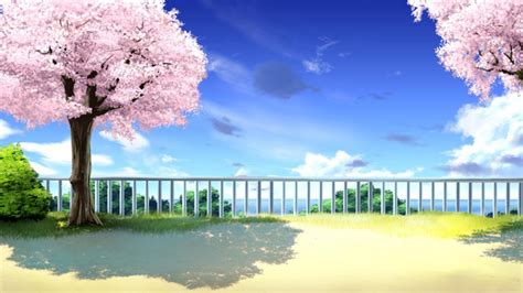 Cherry Blossoms Anime Scenery Wallpapers Top Những Hình Ảnh Đẹp