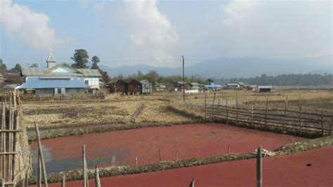 Best Time To Visit Tarin Fish Farm Ziro In 2024