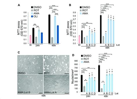 H9c2 Cells Partially Tolerate Mitochondrial Complex Iii But Not I Or V