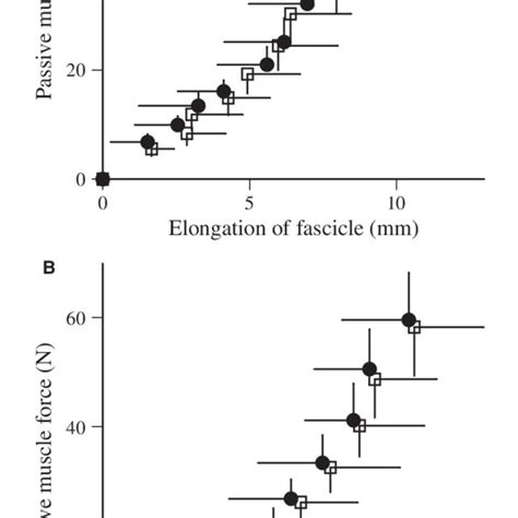 Relationships Between Passive Muscle Force And Elongation Of The