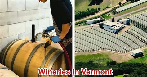 15 Best Wineries And Vineyards In Vermont 2025