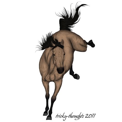 bucking horse  thebingle  deviantart
