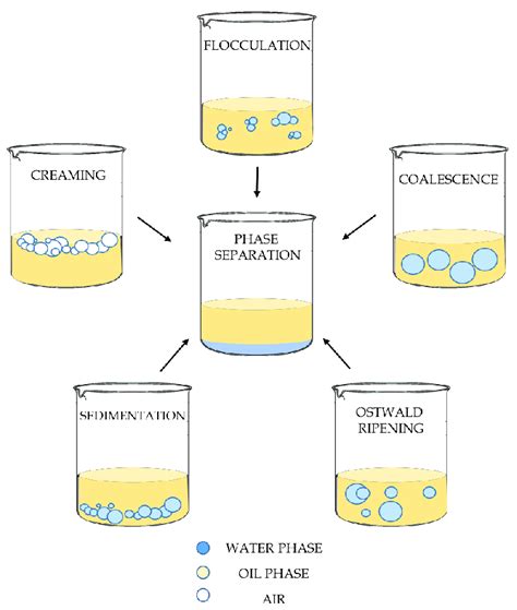 Different Mechanisms Of Emulsion Destabilization Depending On The