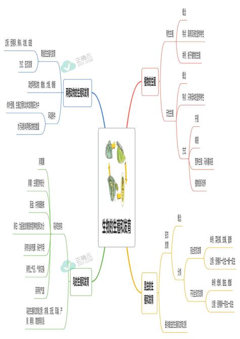 第七单元第一章 生物的生殖和发育——八年级下册生物人教版思维导图正确云资源