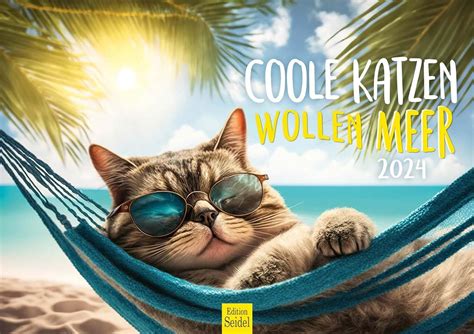 Edition Seidel Premium Kalender Coole Katzen Wollen Meer Din A