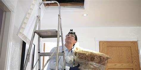 Loft Insulation Costs And Savings How Much Does Loft Insulation Cost