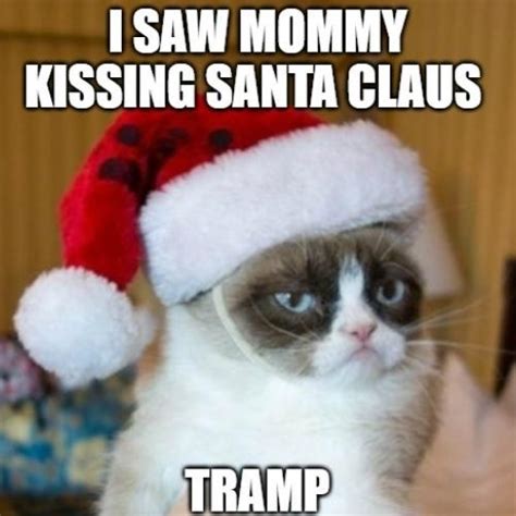 Grumpy Cat Christmas Memes 2024 Download Free - Happy Birthday All