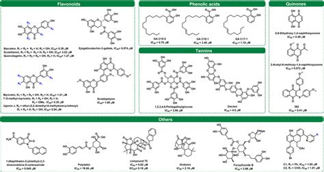 The Structures And Halfmaximal Inhibitory Concentration IC50 Values