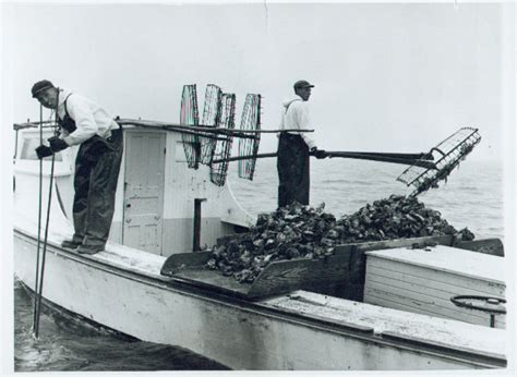 Oyster Harvesting In The Chesapeake Bay Then And Now Explore History