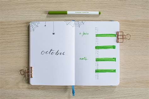 Bullet Journal Mai Plan With Me Camille B