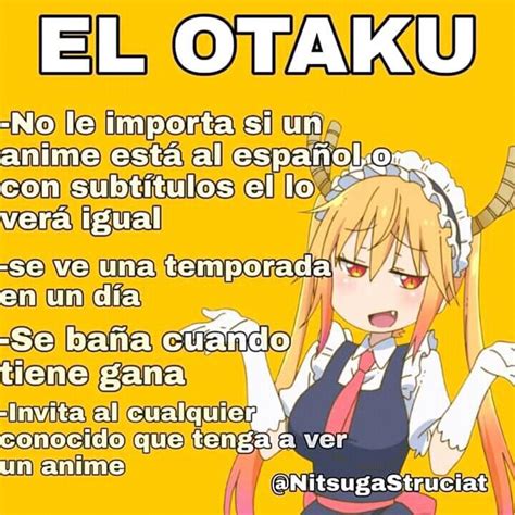 Tipos De Otakus •anime• Amino