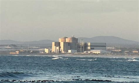 Koeberg nuclear power plant service delays - Ramokgopa is concerned