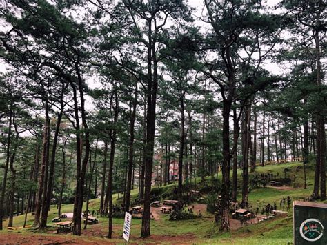 Camp John Hay: The Epitome Of Baguio When Baguio Was Baguio - Ane Ventures