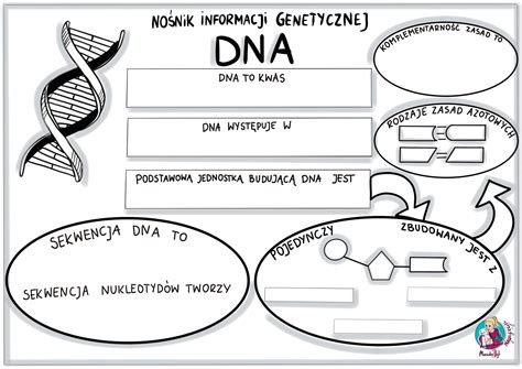 No Nik Informacji Genetycznej Dna Karta Pracy Klasa Z Oty Nauczyciel