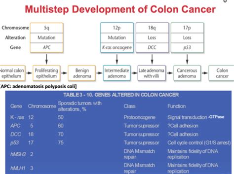 Cancer 4 Intro To Molecular Pathogenesis And Precision Medicine