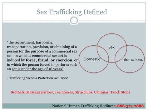 Ppt Sex Trafficking 101 Powerpoint Presentation Free Download Id