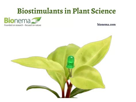 Ppt Biostimulants In Plant Science Powerpoint Presentation Free