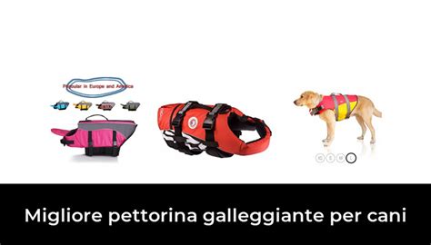 Migliore Pettorina Galleggiante Per Cani Nel Secondo Gli Esperti