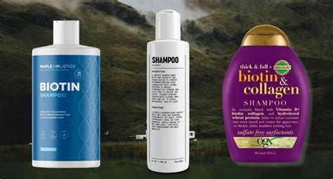 The Best Biotin Shampoos In 2023 Orlando Magazine