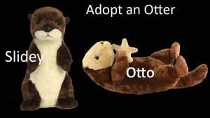 Sea Otters In Folklore And Culture Symbolism And Stories Across The