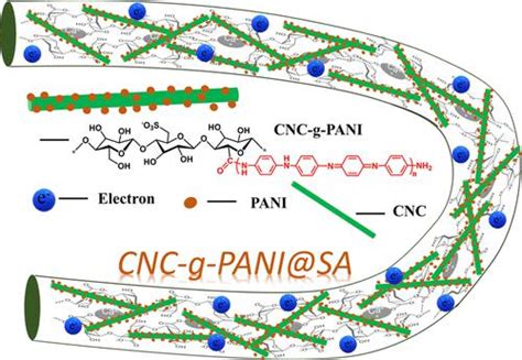 Flexible Conductive Fibers From Alginate Cellulose Nanocrystals And