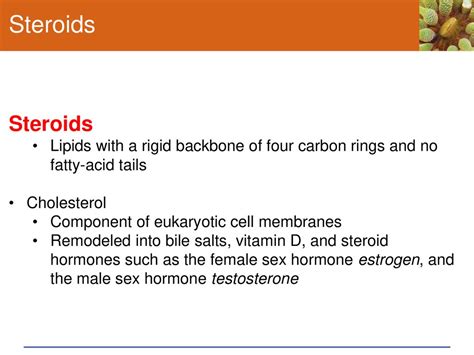 Chapter 3 Molecules Of Life Nucleic Acids Proteins And Enzymes Ppt