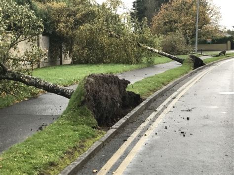 Storm Ophelia ripped the roof off Ireland today · TheJournal.ie