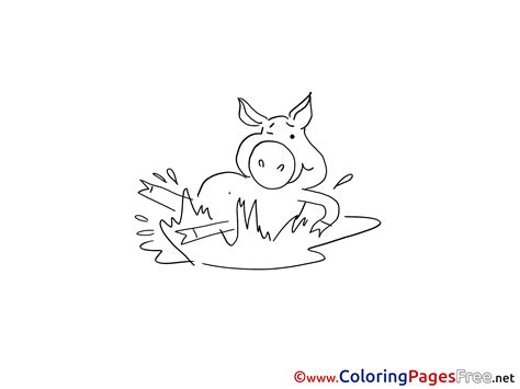 Pig in Mud Children Colouring Page