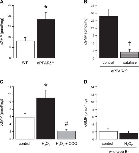 Figure From Mechanisms Of Vascular Dysfunction In Mice With