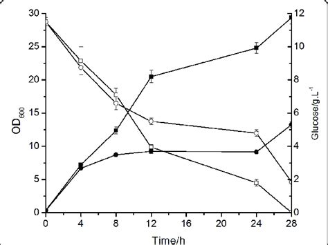 Phb Production In The Engineered E Coli Glucose Consumption And Cell