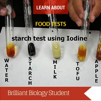 Food Tests Benedict S Test For Reducing Sugar Brilliant Biology