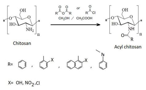 Ijms Free Full Text Factors Influencing The Antibacterial Activity